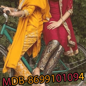 MDB - 006856 ( Pant Plazo Suit )