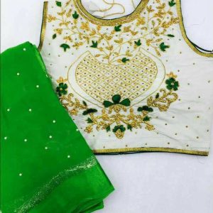 designer choli , best boutiques in hoshiarpur
