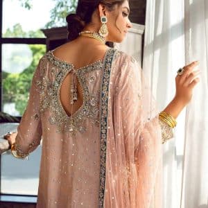 pakistani salwar kameez party wear, pakistani party wear salwar kameez, pakistani party wear , party salwar kameez, party wear shalwar kameez, salwar kameez party wear, party salwar kameez, party wear salwar kameez, party wear churidar, party dress salwar kameez, party kameez,