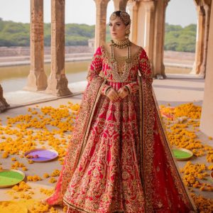 Lehenga Choli Party Wear